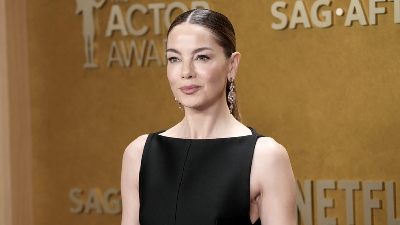 Michelle Monaghan posing