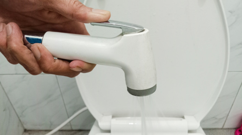 A man holding a bidet spray wand above a toilet